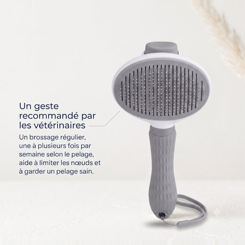 Brosse anti-mue