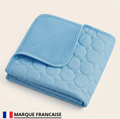 Tapis Rafraîchissant Chien — Frais Instantané