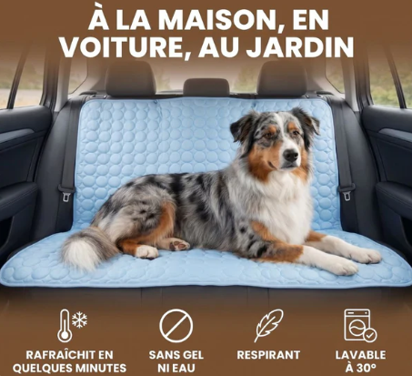 Tapis Rafraîchissant Chien — Frais Instantané
