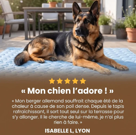 Tapis Rafraîchissant Chien — Frais Instantané