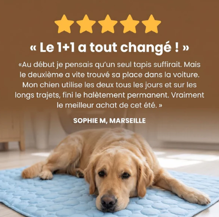 Tapis Rafraîchissant Chien — Frais Instantané