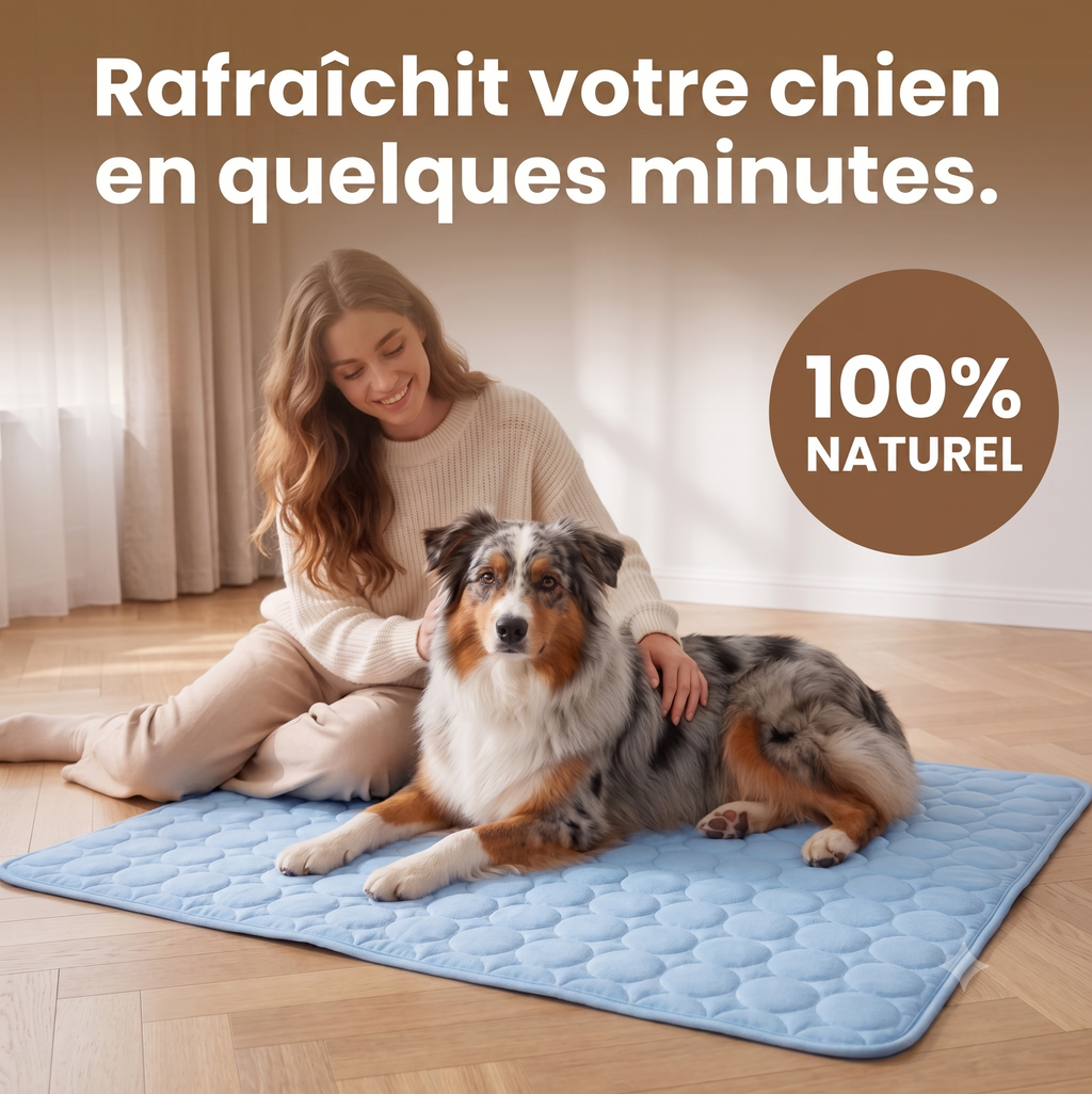 Tapis Rafraîchissant Chien — Frais Instantané